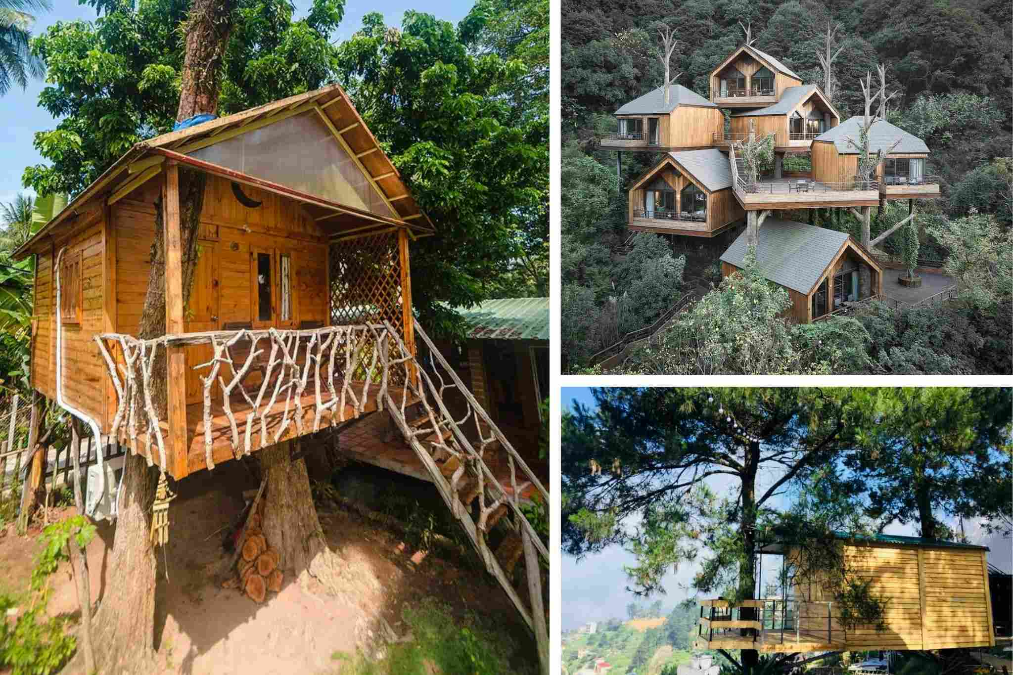 Ý tưởng thiết kế homestay đẹp, độc lạ ở trên cây